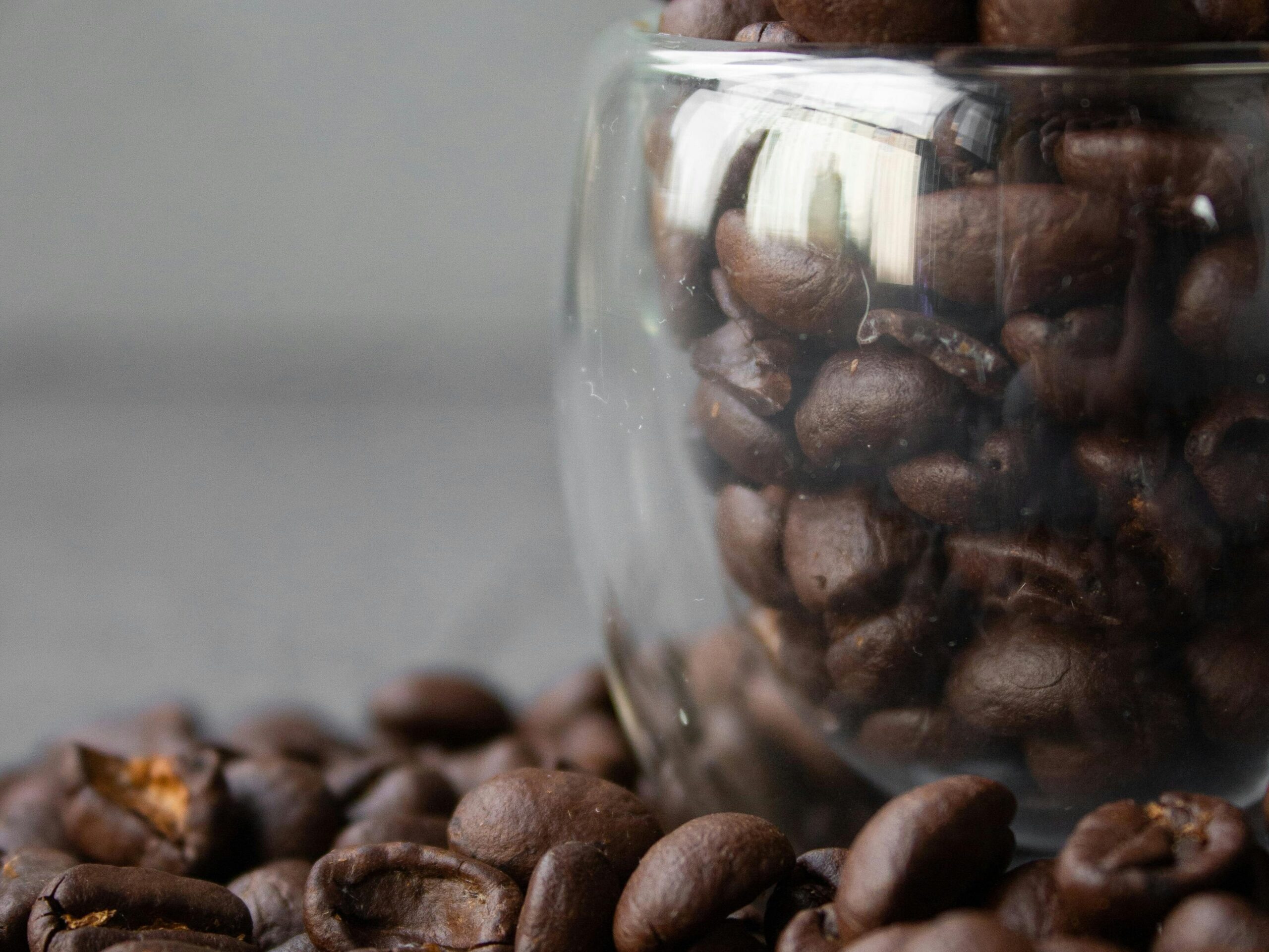 Arabica und Robusta: Zwei Kaffeesorten im Vergleich 2